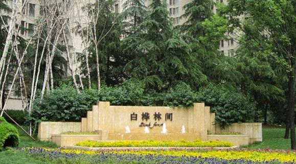 西安 咸阳 成都 重庆 渭南 宝鸡西安-白桦林间